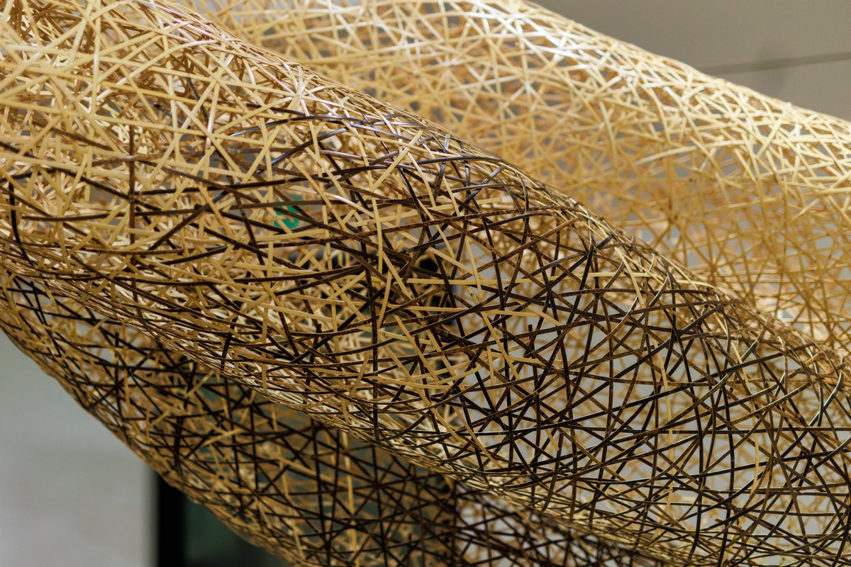 JHLosAngeles's tweet photo. Though commonly mistaken for trees, #bamboo is in the grass family, with 600+ types. Our exhibit installation is made with about 15,000 strips, held by tension. See it in person or virtually: https://t.co/V4suH5Mvbp #WorldBambooDay #JHLABamboo #BambooLifeCycles #ThingsToDoInLA https://t.co/lEqEDfQBcJ