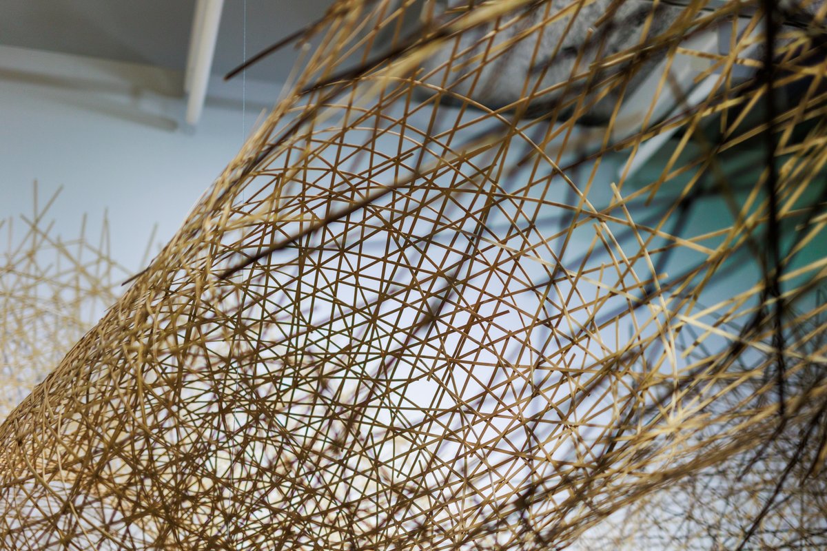 JHLosAngeles's tweet photo. Though commonly mistaken for trees, #bamboo is in the grass family, with 600+ types. Our exhibit installation is made with about 15,000 strips, held by tension. See it in person or virtually: https://t.co/V4suH5Mvbp #WorldBambooDay #JHLABamboo #BambooLifeCycles #ThingsToDoInLA https://t.co/lEqEDfQBcJ