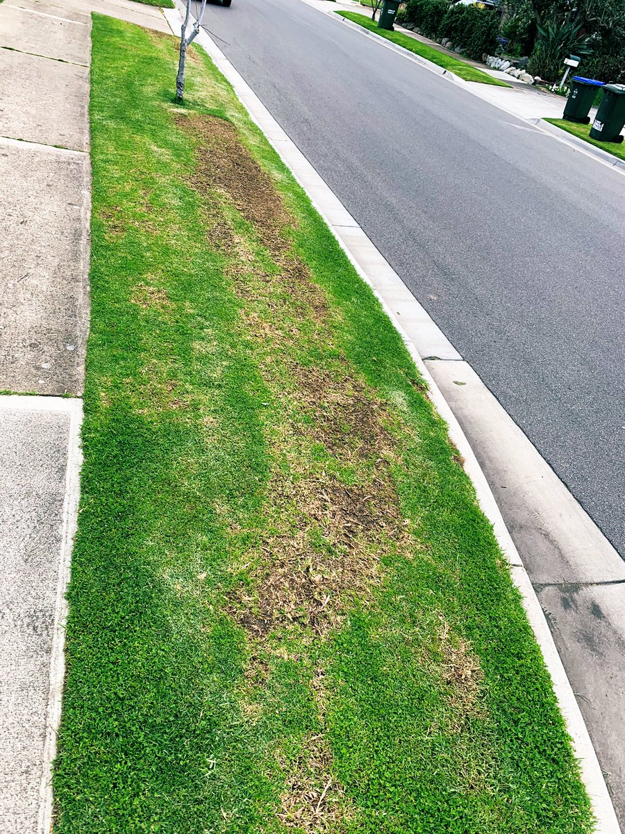 Leith Forrest tweet media