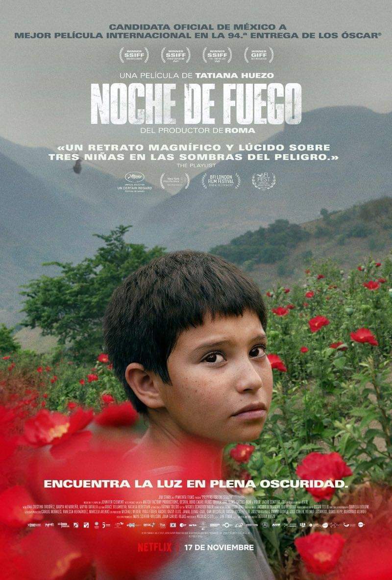 VulgaMomo's tweet photo. El pasado dos de agosto se dieron a conocer los nominados a los premios Ariel, de entre las nominadas a Mejor película se encuentra Noche de fuego, de Tatiana Huezo, hoy es nuestra recomendación.
#NocheDeFuego #RecomendaciónCinematográfica https://t.co/Il0iLaWpKl