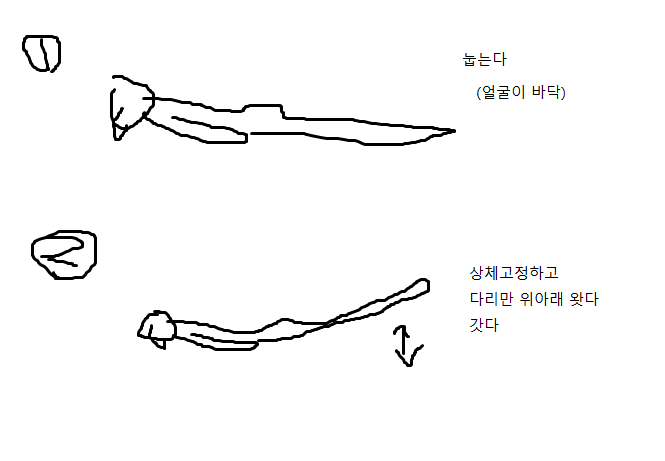 WORK_whaThehell's tweet photo. 허리 아플때 좋은 운동임 
때는 1n년전 중식집 알바할때 그 사장님들이 화교셨는데 중국 유명 한의원 3개월 예약하고 중국다녀와서 알려주신 방법임

허리 근육 붙게 하는데 좋음
하루 100개씩 (간단해서 금방끝남 플랭크급 어려움 아님)
진짜 일단 이거 하면 개시원해짐 https://t.co/dexGuaO61u