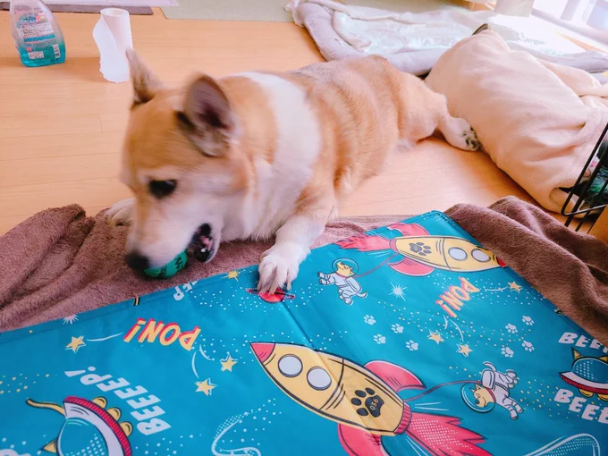 ガッガッ 