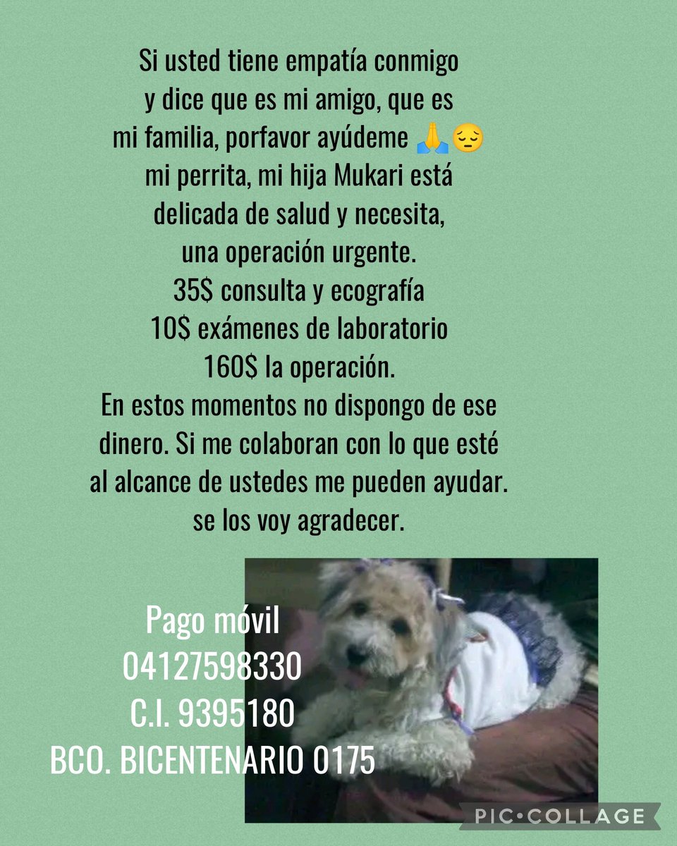 GuerreroLoyda's tweet photo. https://t.co/pN34qwQLPw