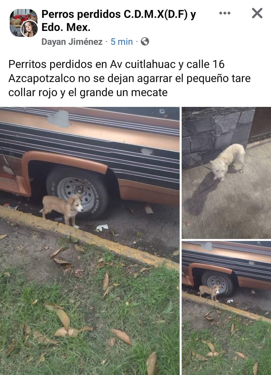 🅿🅴🆁🆁🅾🆂🅾🆂🅼🆇 tweet media