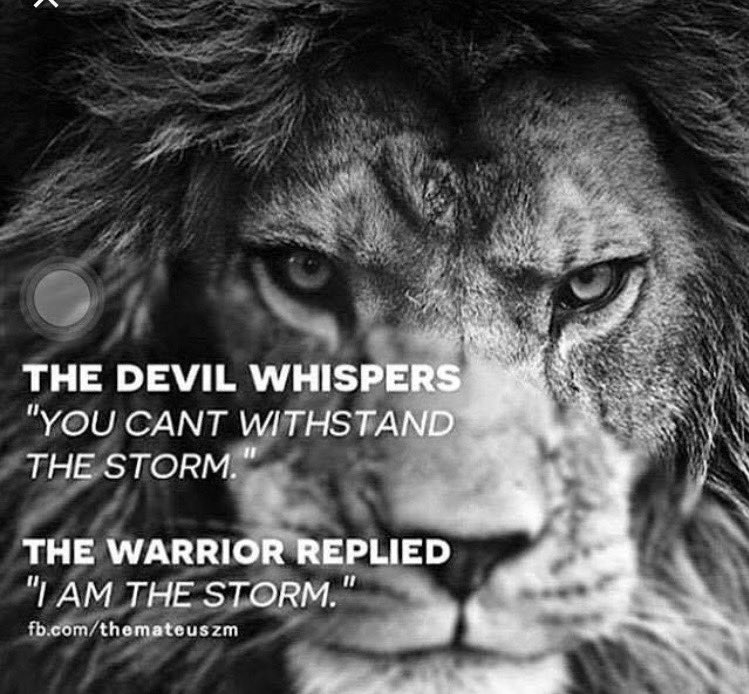 MicahhParsons11's tweet photo. 🦁 https://t.co/bRHuGBvLGi