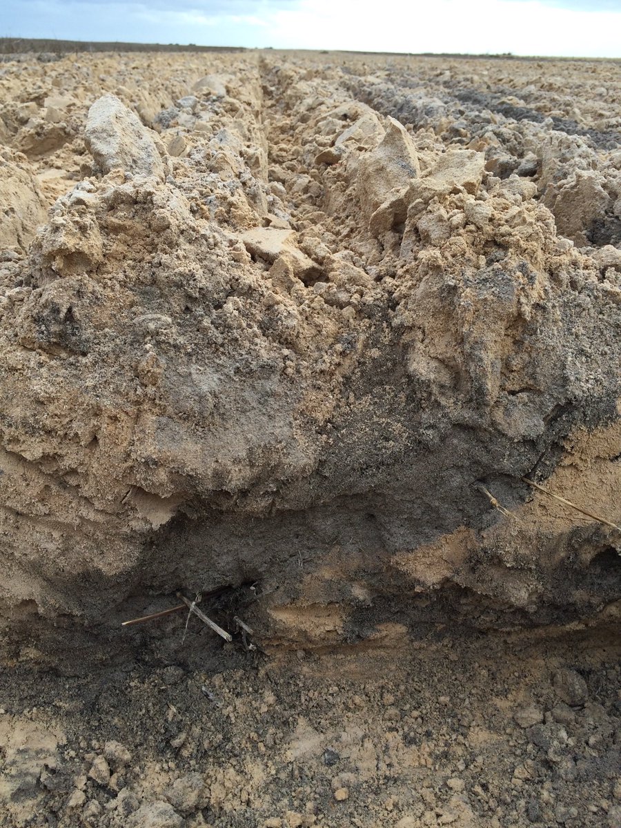 iMc Fels 📲🌾 tweet media