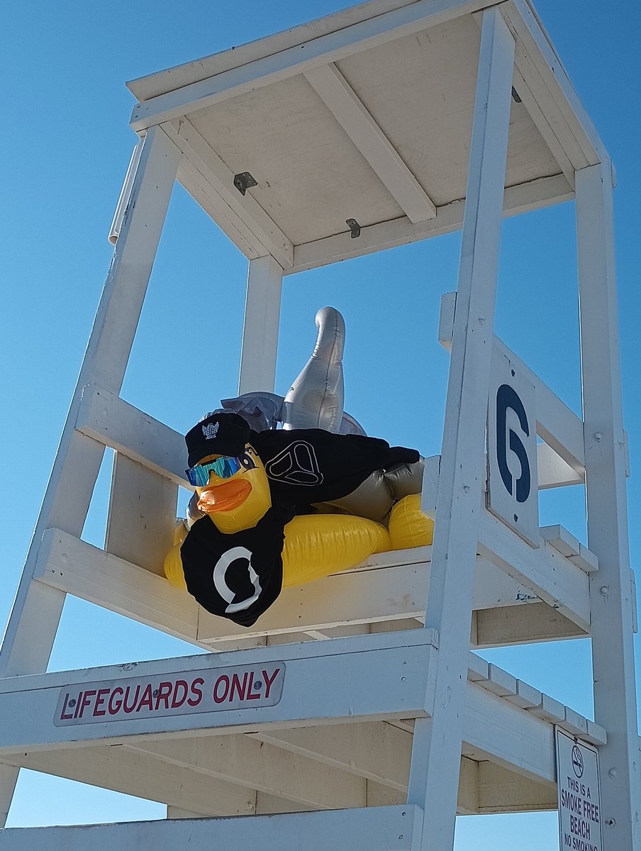 Izaya718's tweet photo. @iotashop #IOTAsummer
Duck & Elephant on the lookout for any stranded Lumis at the ⛱️ beach!!
Made some new frens though!!?!!
👀🔎⛱️l👼✨👀🔎 https://t.co/NZvpBs1buU