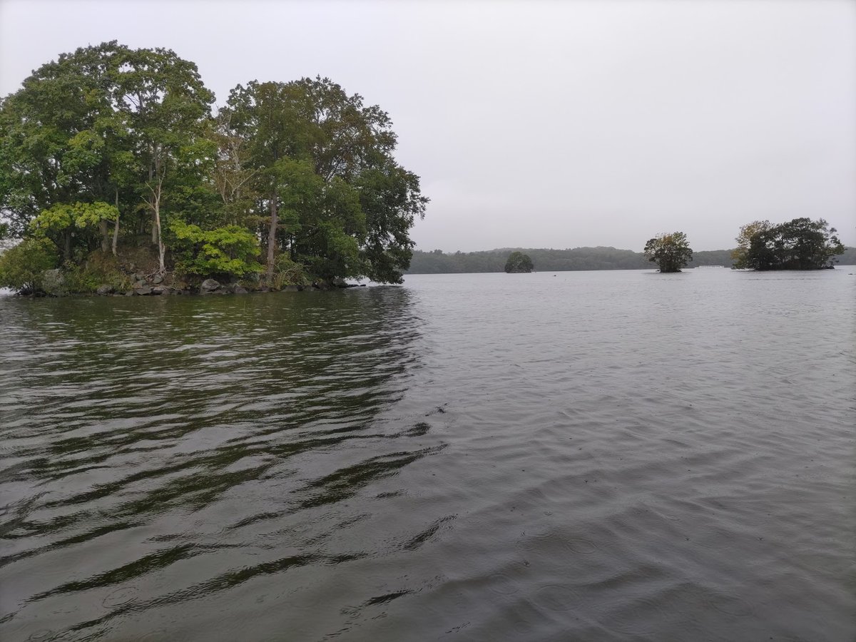 「大沼公園で足漕ぎスワンボート雨降りでお客さんが少なかったからなのか多めの時間乗っ」|Takuyaのイラスト