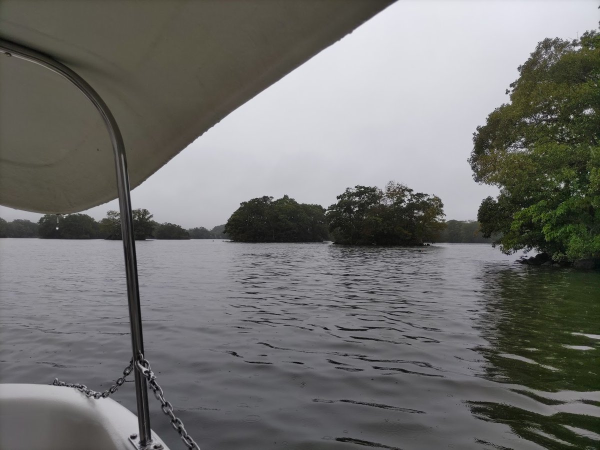 「大沼公園で足漕ぎスワンボート雨降りでお客さんが少なかったからなのか多めの時間乗っ」|Takuyaのイラスト