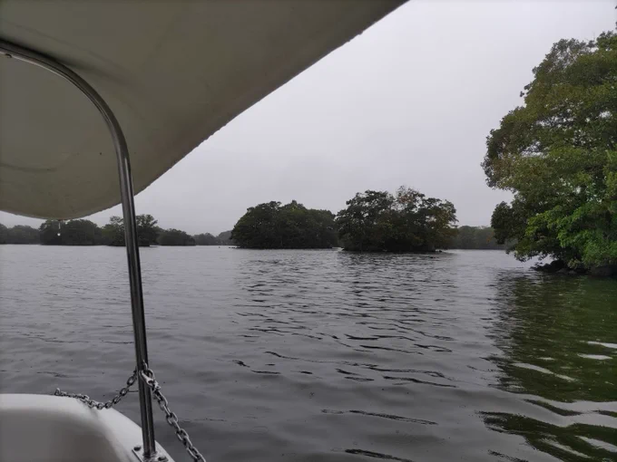 大沼公園で足漕ぎスワンボート雨降りでお客さんが少なかったからなのか多めの時間乗ってきていいよと言われたので遠慮なく対岸近くまで行ってきたツカレタこんなデカイ湖(沼)でボート乗るなんて初めてめちゃバイオ4感ある(分かる人にしかわからん) 