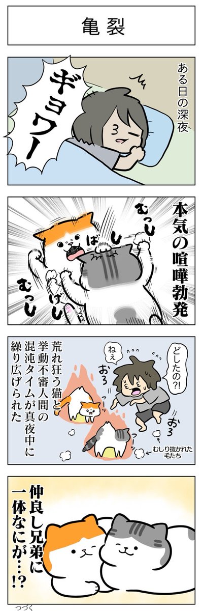 亀裂・修復│フェリシモ猫部 https://t.co/eTUPhzy6z0 
