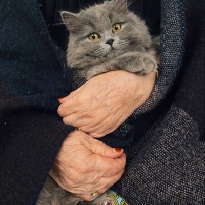 _saMarliz's tweet photo. #صورة_جديدة_للملف_الشخصي
"♥️♥️" https://t.co/1piFi4FVds