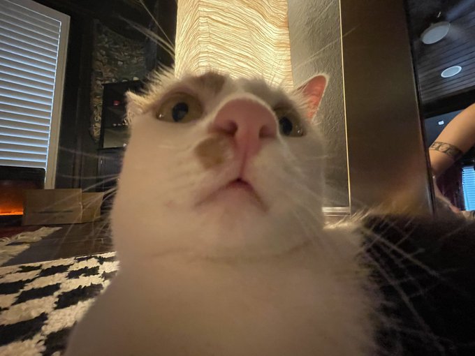 Watch Leah's leaked NSFW photo on TwXstars