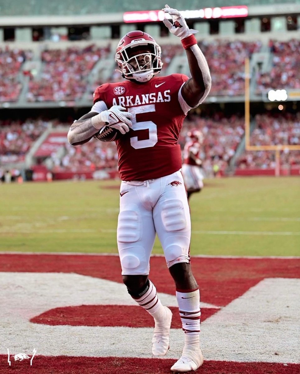 RocketSanders 🚀 tweet media