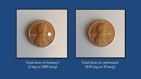 stang60's tweet photo. @chiproytx Fentanyl, carfentanil reported to be found in illicit street drugs. These opioids commonly found cut or mixed into street drugs heroin, illegally manufactured pills, crystal meth, cocaine or crack, and has been fueling the overdose epidemic in the U.S. kill you within  2minutes. https://t.co/3yTCIKpSjw
