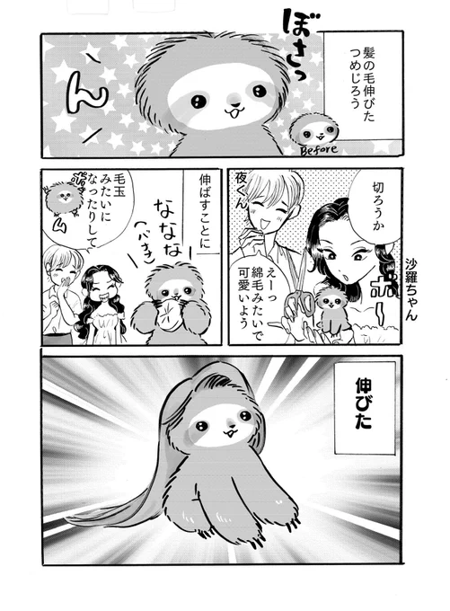 夜くん・沙羅ちゃん・つめじろうナマケモノの赤ちゃんにマウントを取られる人間 