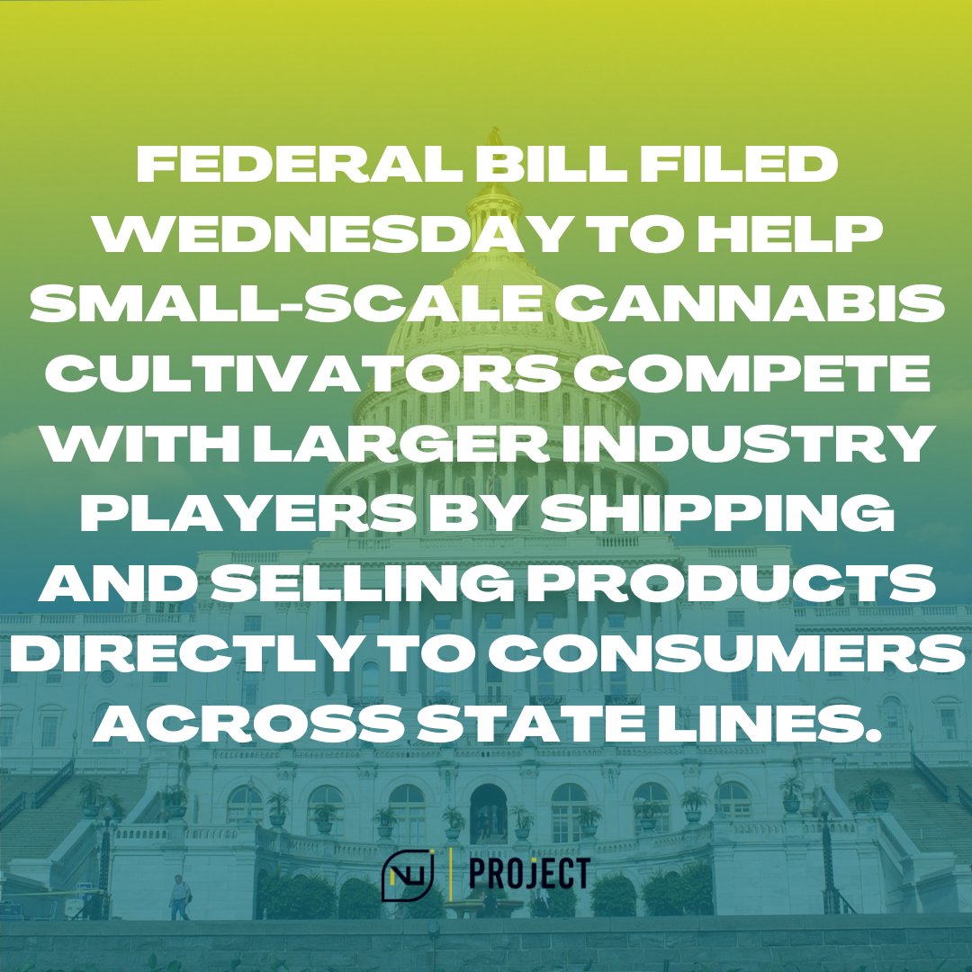 NuProject tweet media