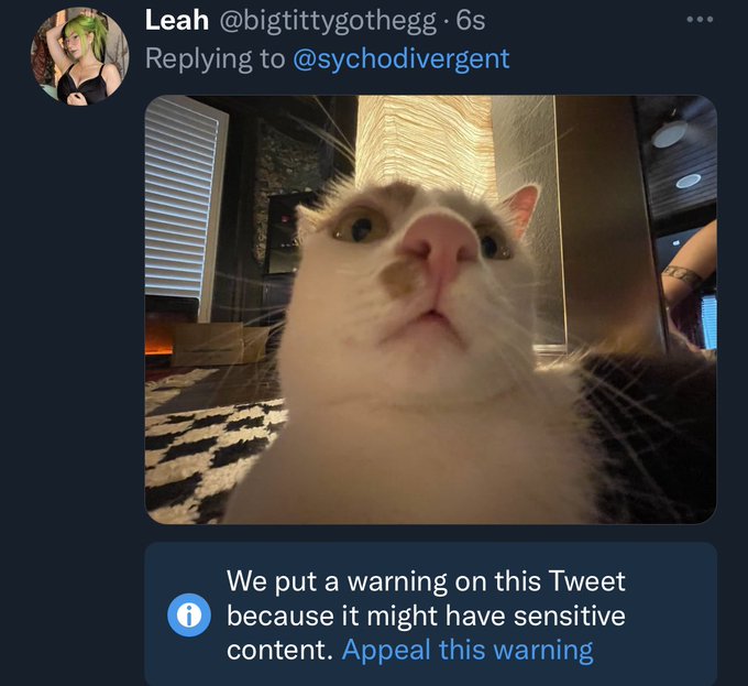 Watch Leah's leaked NSFW photo on TwXstars