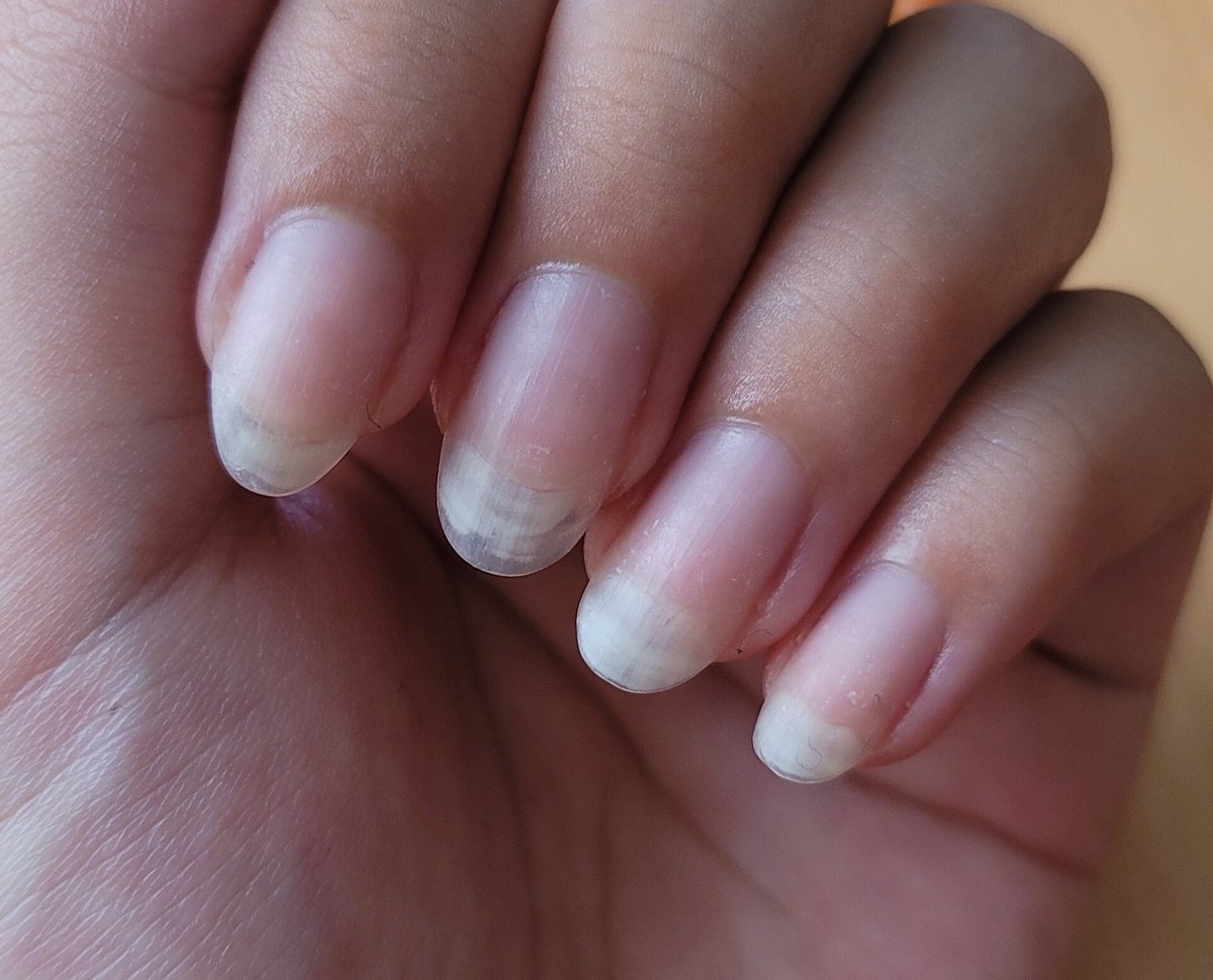 null_nail's tweet photo. 1ヶ月もったから自爪がすごい伸びてるわね…秋だしショートにしようかな https://t.co/0kPeREl5bZ