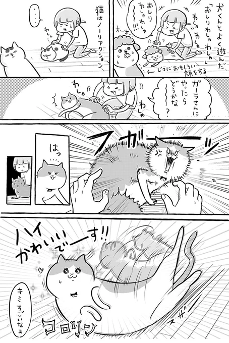 「キミすごいなぁ」 突然の『お触り』に激怒した猫、相手が分かると態度一変! https://t.co/WondY2T9Ei @grapeejpより 
