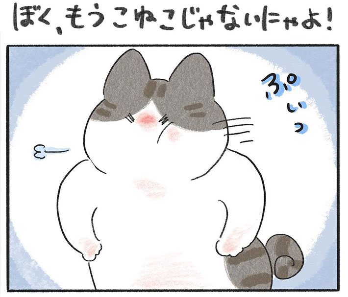 飼い主に抱きかかえられて眠る猫 しかし、しばらくすると? 「可愛すぎる」「これは天使」 https://t.co/r9BJERPw7h @grapeejpより