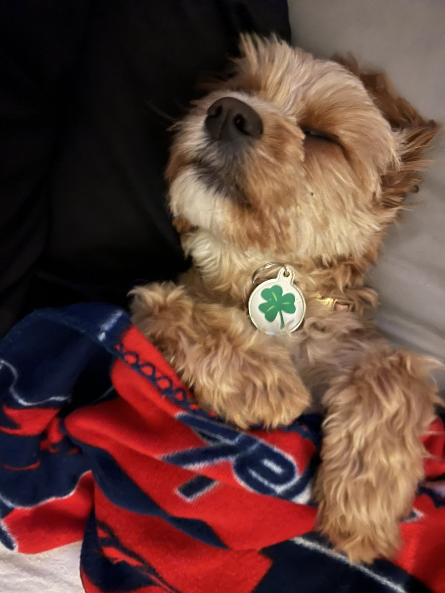 I’m so tired waiting for hockey to return! <a href="/Capitals/">Washington Capitals</a> #ALLCAPS