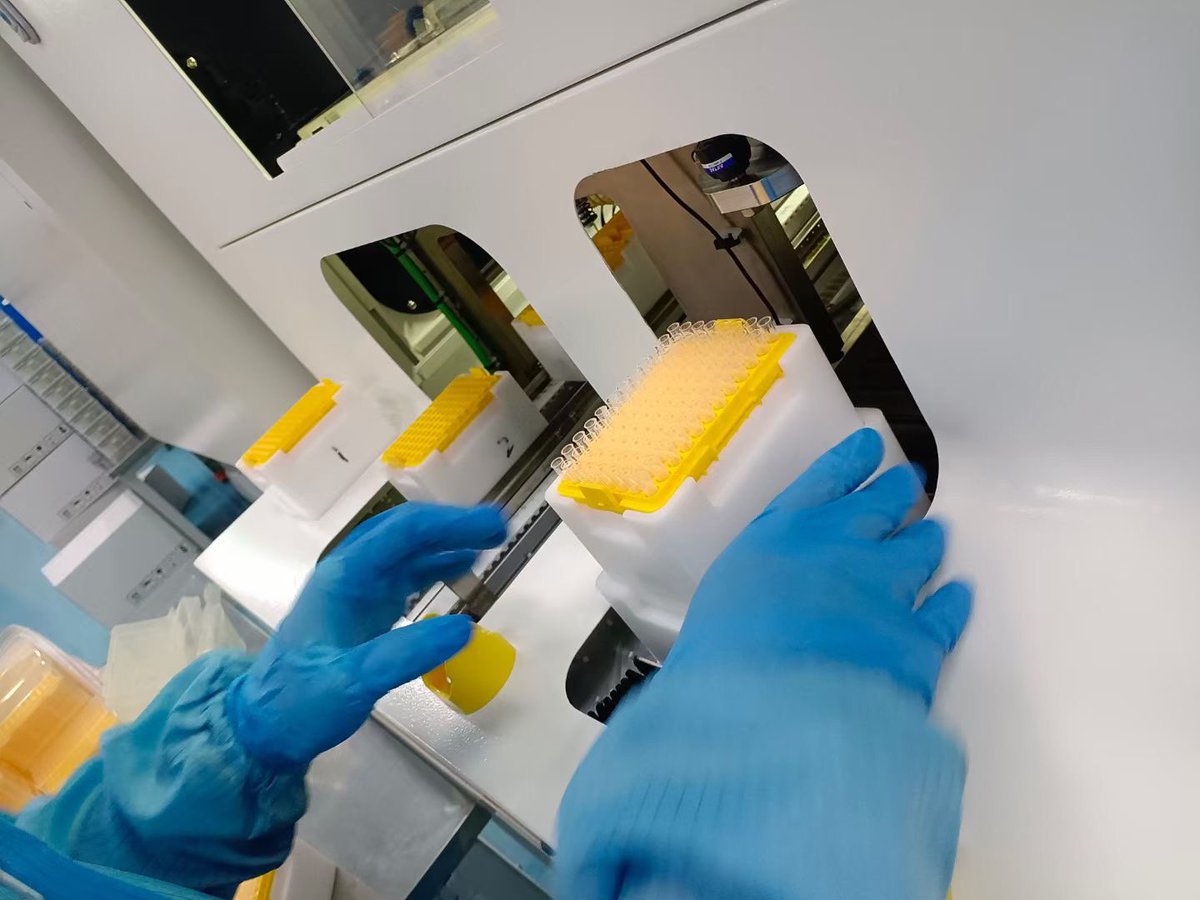 LabConsumables's tweet image. New production line for 200ul pipette tips