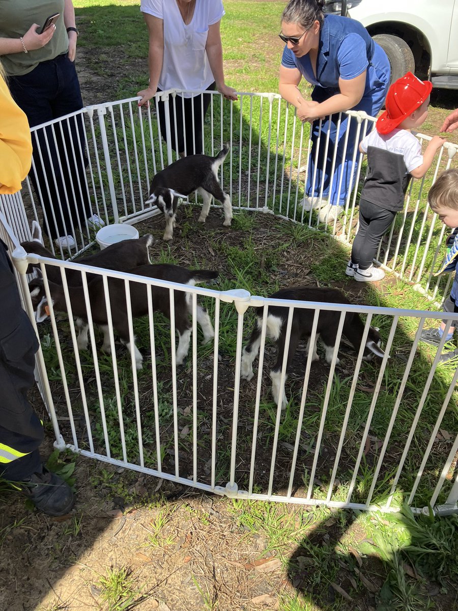 robrfs's tweet photo. Caught up with the Mulbring Brigade in the Hunter. Young brigade members supporting their local community. Some kids decided to get in on the action . #GetReadyWeekend https://t.co/yoUJMmbU3g