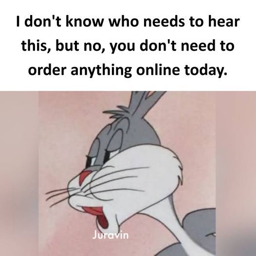 AnnaJuravin's tweet photo. I don't know who needs to hear this, but no, you don't need to order anything online today. 😂😂

https://t.co/ZbqOI3Yf2l https://t.co/UdTNbCjt1Y