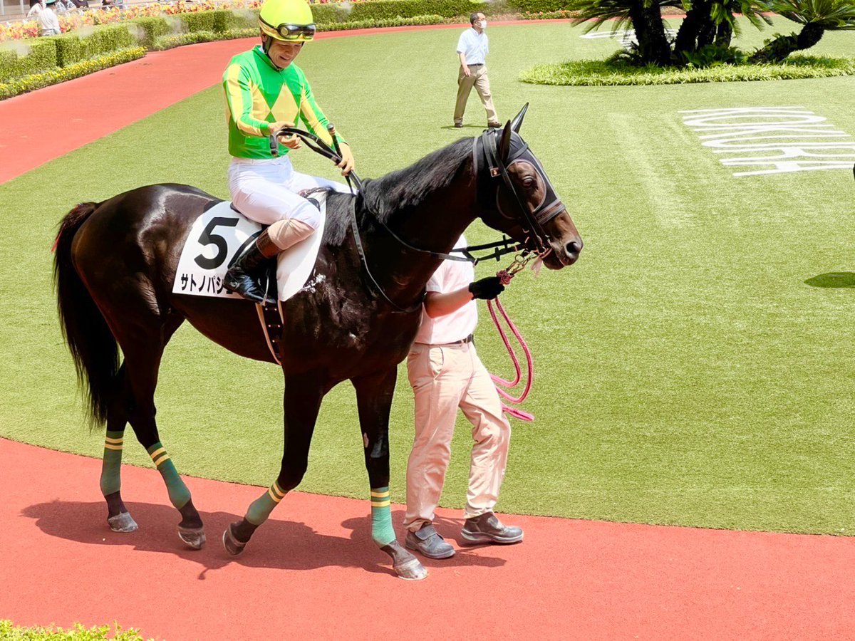 サトノパシュート🥹💚
ゆっくり療養してケガを治してもらってね!
シェルターには角居厩舎🇳🇬で一緒だった
レイルもいるから安心だね🥰