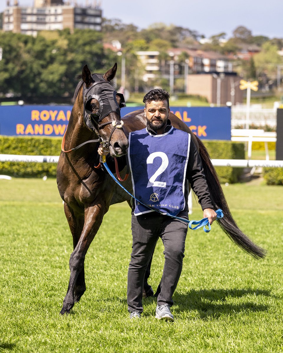 No bridesmaid duties today, KISS THE BRIDE dominates to take out R3 at Randwick, making back to back wins for this 7yo stable stalwart 👏 

Great ride <a href="/djgibbons22/">Dylan Gibbons</a> and congratulations to the connections 👰