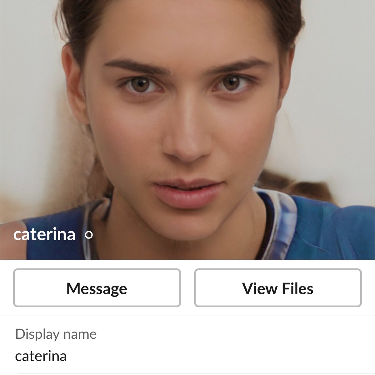 @levelsio tweet media