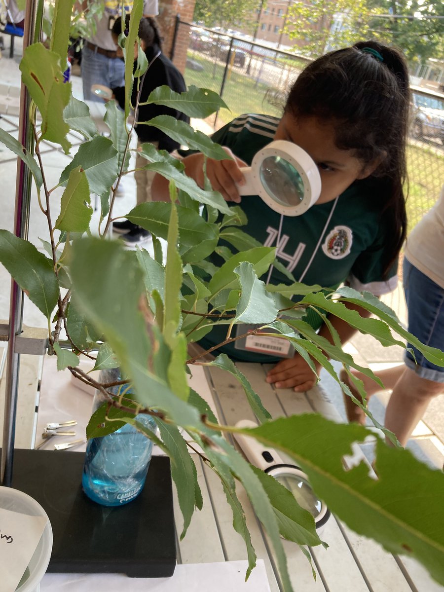 ANSgina's tweet photo. GreenKids brought the Caterpillar Road Show to Riverdale ES @PGCPS_RES ! Curios 3rd graders enjoyed every bit of it and had so many questions for the amazing GWU scientists. @pgcps @ANStweets @RESMrsMartinez https://t.co/CmHQQ0c3PI