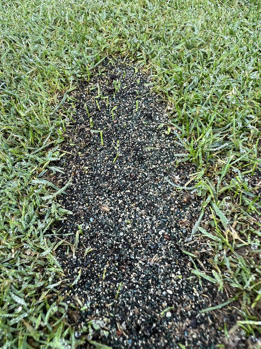 6 days, hello younglings. <a href="/TurfMend/">TurfMend</a>