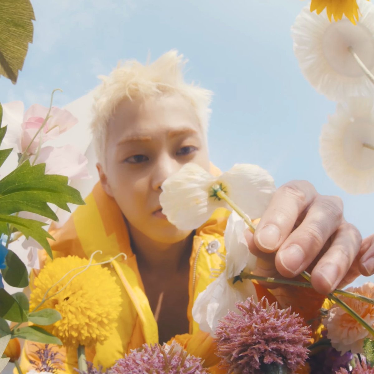 🐱🤍🦕 tweet media