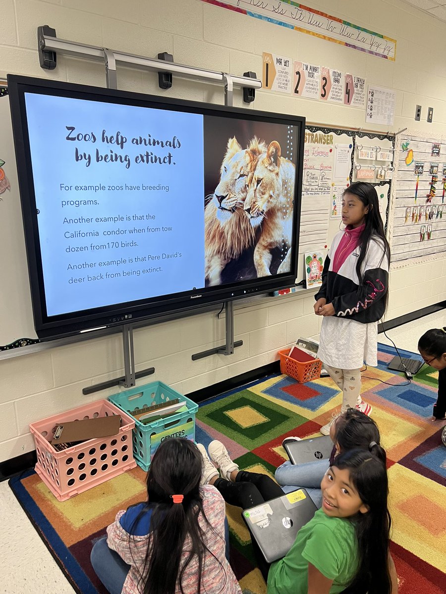 CStrawser7's tweet photo. My fourth graders enjoyed listening to our Zoo presentations today! 🐅🦍🦓🐆🐘 @Hasty_Huskies @MRegan0123 @JanetMarotte777 @Beth_Coryell https://t.co/kQak7jbSoX