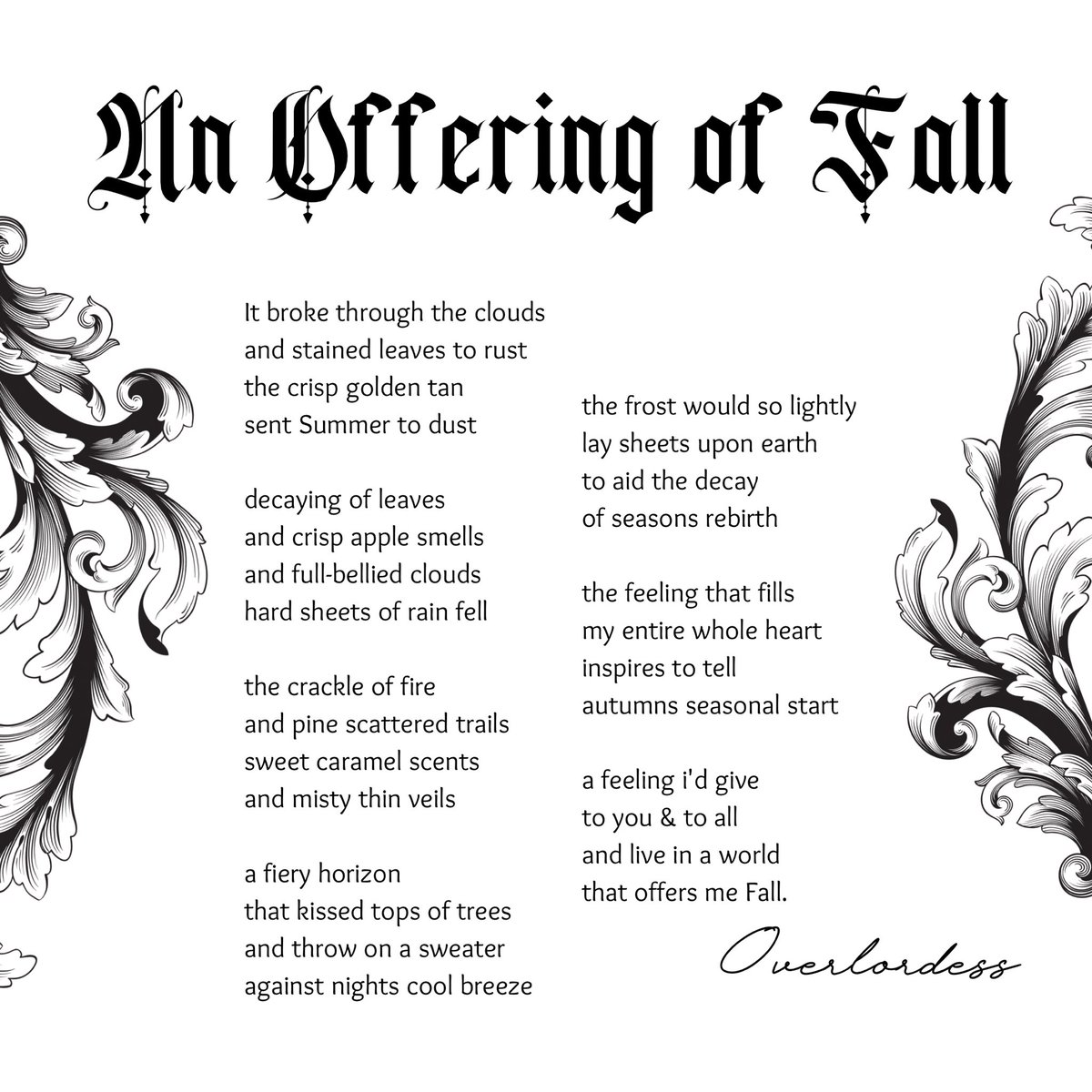 Sandra the Hag 𐕣 tweet media