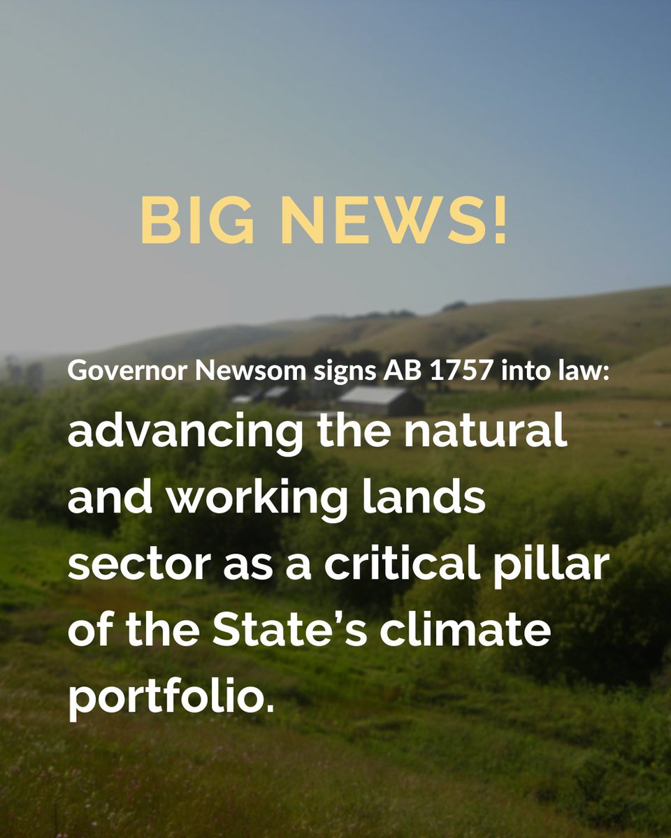 Carbon Cycle Institute tweet media