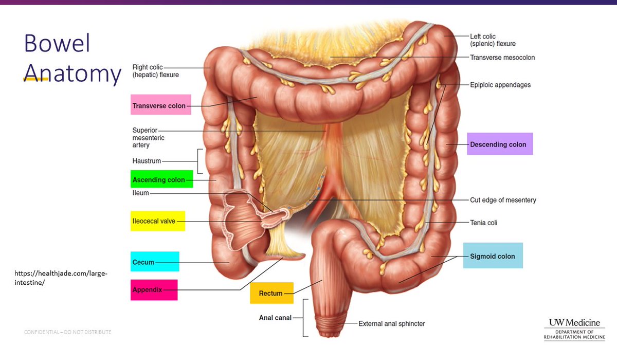 nwrscis's tweet photo. Watch the latest SCI Forum Video: Bowel Management After Spinal Cord Injury
https://t.co/l24qYxnnsI
Great overview and ideas for anyone newly injured or as a refresher for long term SCI. Presented by Kate Delaney MD at the University of Washington and Harborview Medical Centers. https://t.co/4eJDXCcK9F