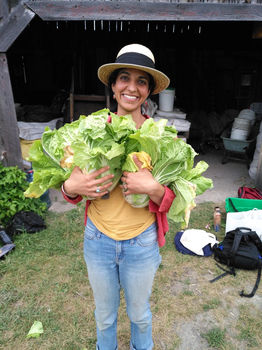 I am a Kenyan Sikh immigrant with degrees in Theatre and Education. I volunteer with a community farm and I teach youth how to grow food. Because I dare to do my own research, <a href="/JustinTrudeau/">Justin Trudeau</a> calls me a science-denying racist and misogyist.

#TrudeauMustGo