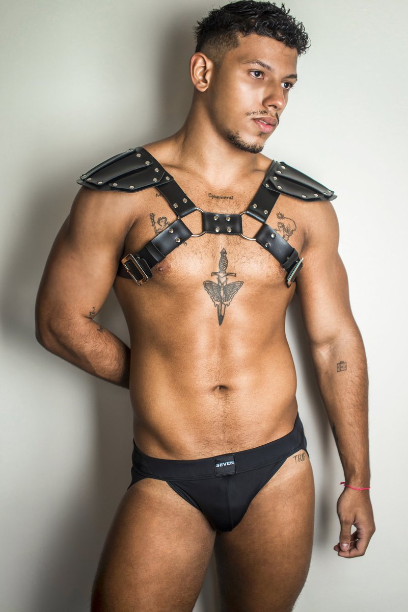 SevenMenBrasil's tweet photo. Harness Gladiator/couro sintético 
Disponível em:
https://t.co/JgwqtoPf8G https://t.co/gcXHBIjFWN
