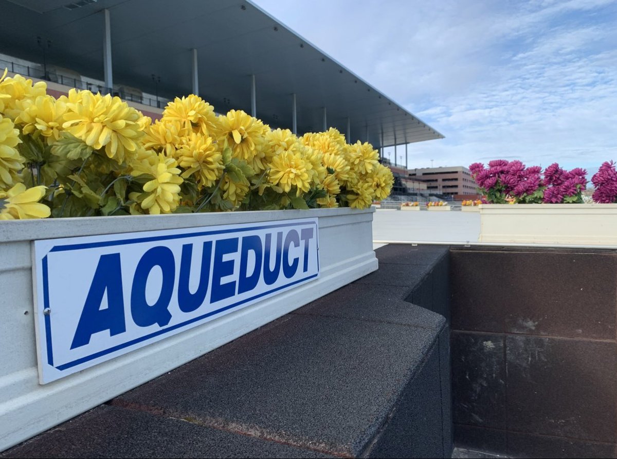 No te pierdas este sábado nuestro programa EXACTA BOX. Acompáñanos a las 11 a.m. ET en nuestro canal de YouTube para disfrutar lo mejor del hipismo, incluyendo el análisis y pronóstico de Edgar Villa López, <a href="/EdgarVillaLope1/">Edgar Villa Lopez</a>, en #Aqueduct y #GulfstreamPark. #BelmontattheBigA