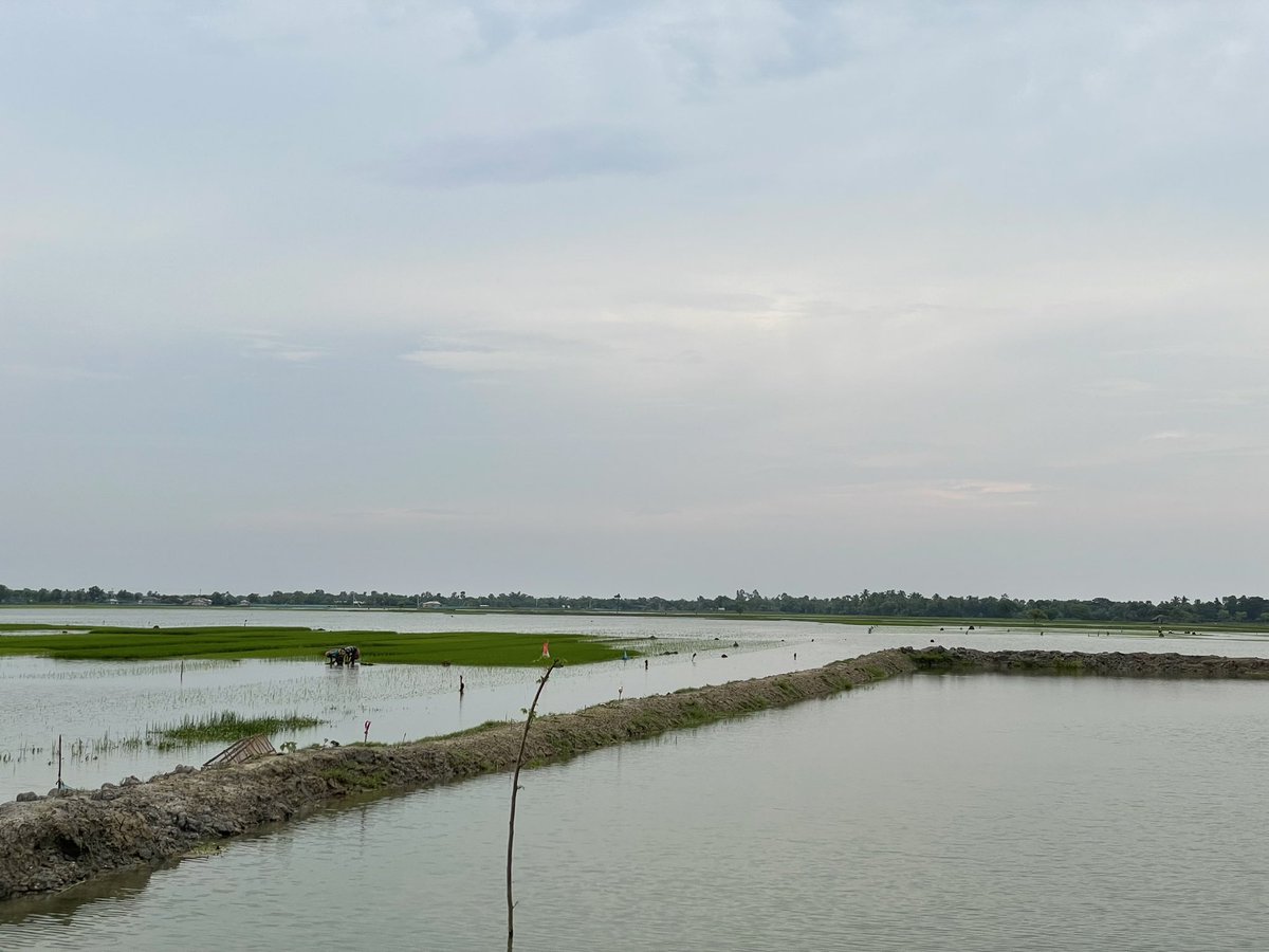 NayokaMartinez's tweet photo. In #Shyamnagar learning how villagers living close to the Sundarbans are adapting to a changing #climate. Here people know that livelihoods, agriculture, water management, #DRM are dependent on protecting and conserving nature. #ClimateAction @ForCnrs @IUCN @SwedeninBD https://t.co/21bYDc9eYO