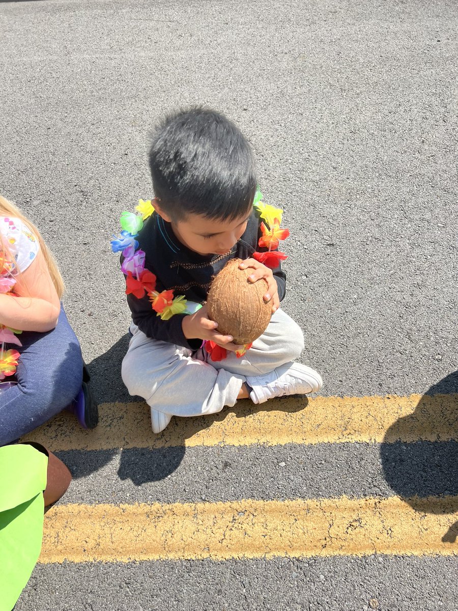 MrsBurnsKinder's tweet photo. Yesterday we celebrated the end of our ABC Bootcamp with Chicka Chicka Boom Boom day! We had an ABC fashion show and explored coconuts with our 5 senses. @RFe_RCS @kindersmorgie @rucoschools https://t.co/81EbzOV8qT