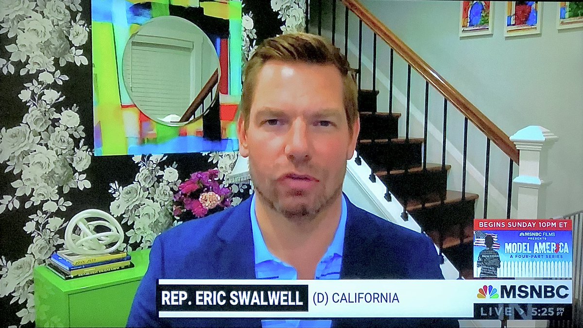 Stair view. Went for the bold art/wallpaper combo. Hank’s baby gate still rules. 10/10 <a href="/ericswalwell/">Eric Swalwell</a>