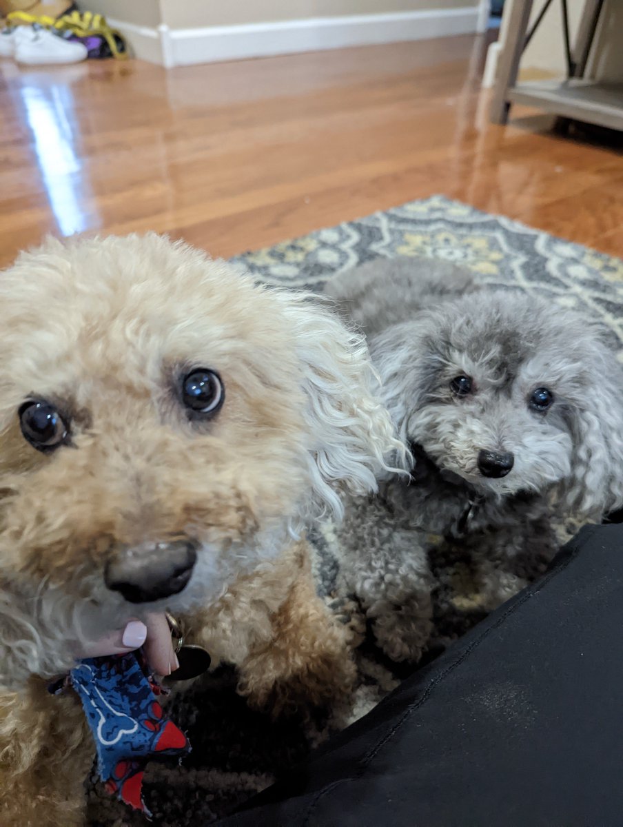 UTSW IM-Psych tweet media