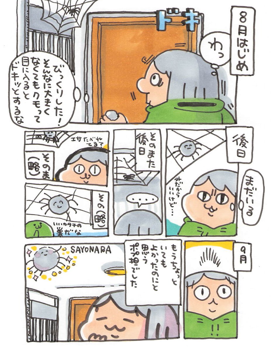 【ポップ担当日記】
整った巣をはるクモで、ちょっと愛着が湧いていただけにいなくなってちょっと残念です。もうすっかり秋ですもんね。