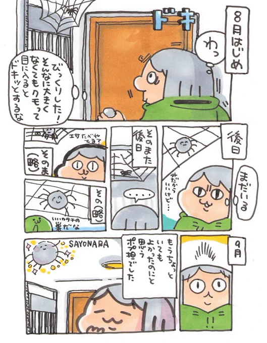 【ポップ担当日記】
整った巣をはるクモで、ちょっと愛着が湧いていただけにいなくなってちょっと残念です。もうすっかり秋ですもんね。 