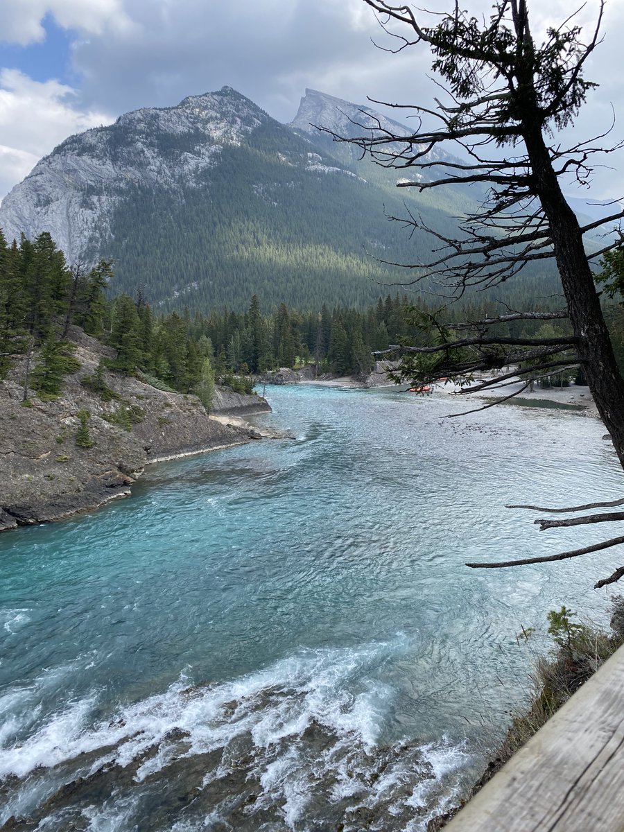 Bow River and Falls 🇨🇦❤️