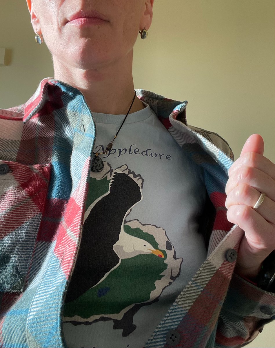 SarahCourchesne's tweet photo. While I was leading a bird walk today, a participant said to me, "You know what bird I really can't stand? Great Black-backed Gulls." And I drew back my flannel, Superman style, to reveal my #gullsofappledore shirt and said, "Those are my good friends you're talking about." https://t.co/q9LNbrYmv7